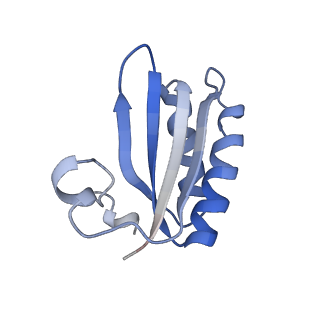 20207_6owg_O_v1-2
Structure of a synthetic beta-carboxysome shell, T=4