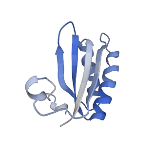20207_6owg_O_v1-3
Structure of a synthetic beta-carboxysome shell, T=4
