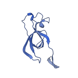 20207_6owg_P_v1-2
Structure of a synthetic beta-carboxysome shell, T=4