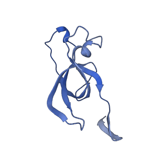 20207_6owg_P_v1-3
Structure of a synthetic beta-carboxysome shell, T=4