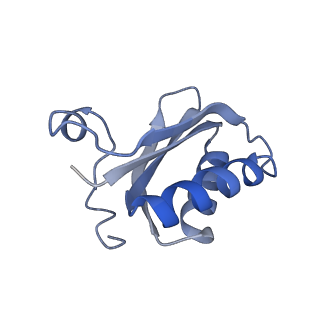 20207_6owg_Q_v1-2
Structure of a synthetic beta-carboxysome shell, T=4