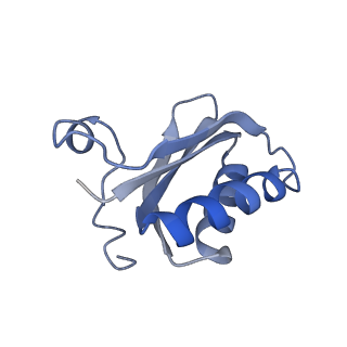 20207_6owg_Q_v1-3
Structure of a synthetic beta-carboxysome shell, T=4