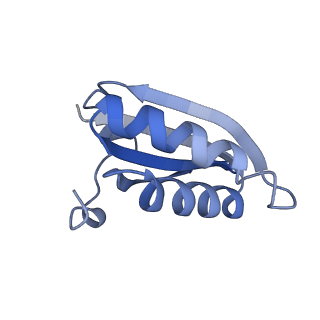 20207_6owg_R_v1-2
Structure of a synthetic beta-carboxysome shell, T=4
