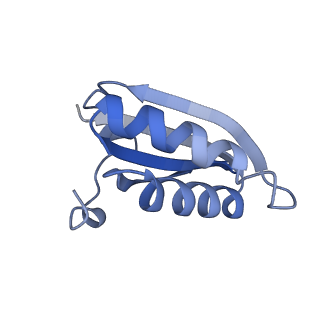 20207_6owg_R_v1-3
Structure of a synthetic beta-carboxysome shell, T=4