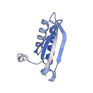 20207_6owg_S_v1-2
Structure of a synthetic beta-carboxysome shell, T=4
