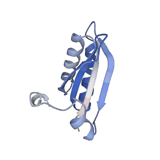 20207_6owg_S_v1-3
Structure of a synthetic beta-carboxysome shell, T=4