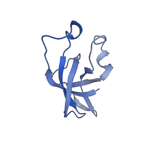 20207_6owg_T_v1-2
Structure of a synthetic beta-carboxysome shell, T=4