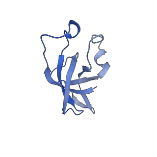 20207_6owg_T_v1-3
Structure of a synthetic beta-carboxysome shell, T=4