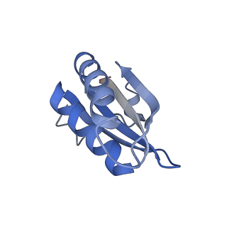 20207_6owg_U_v1-2
Structure of a synthetic beta-carboxysome shell, T=4