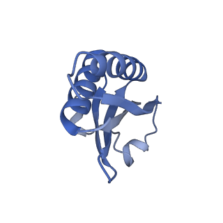 20207_6owg_V_v1-2
Structure of a synthetic beta-carboxysome shell, T=4