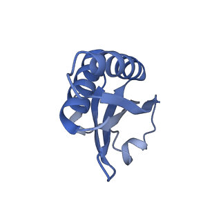 20207_6owg_V_v1-3
Structure of a synthetic beta-carboxysome shell, T=4