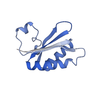 20207_6owg_W_v1-2
Structure of a synthetic beta-carboxysome shell, T=4