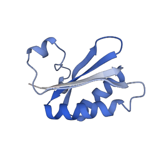 20207_6owg_W_v1-3
Structure of a synthetic beta-carboxysome shell, T=4