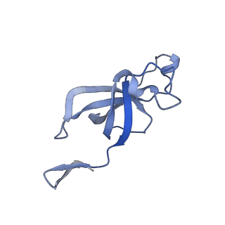 20207_6owg_X_v1-2
Structure of a synthetic beta-carboxysome shell, T=4