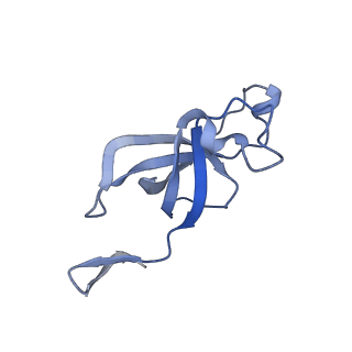 20207_6owg_X_v1-3
Structure of a synthetic beta-carboxysome shell, T=4