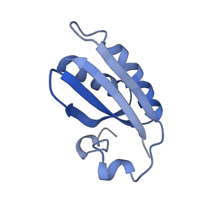 20207_6owg_Y_v1-2
Structure of a synthetic beta-carboxysome shell, T=4