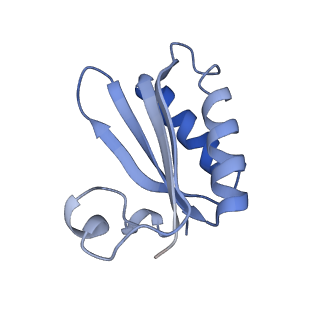 20207_6owg_Z_v1-2
Structure of a synthetic beta-carboxysome shell, T=4