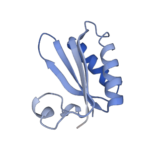 20207_6owg_Z_v1-3
Structure of a synthetic beta-carboxysome shell, T=4