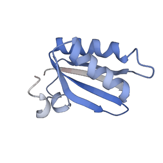 20207_6owg_a_v1-2
Structure of a synthetic beta-carboxysome shell, T=4