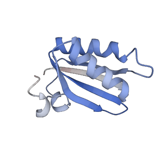 20207_6owg_a_v1-3
Structure of a synthetic beta-carboxysome shell, T=4