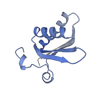 20207_6owg_b_v1-2
Structure of a synthetic beta-carboxysome shell, T=4