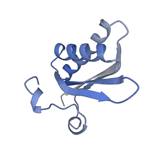 20207_6owg_b_v1-3
Structure of a synthetic beta-carboxysome shell, T=4