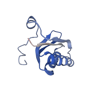 20207_6owg_c_v1-2
Structure of a synthetic beta-carboxysome shell, T=4