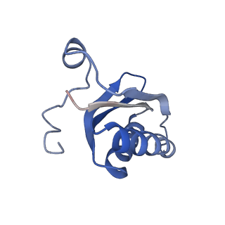 20207_6owg_c_v1-3
Structure of a synthetic beta-carboxysome shell, T=4