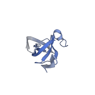 20207_6owg_d_v1-2
Structure of a synthetic beta-carboxysome shell, T=4