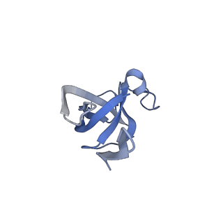 20207_6owg_d_v1-3
Structure of a synthetic beta-carboxysome shell, T=4