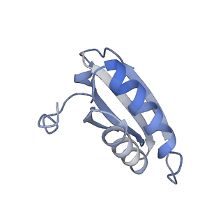 20207_6owg_e_v1-2
Structure of a synthetic beta-carboxysome shell, T=4