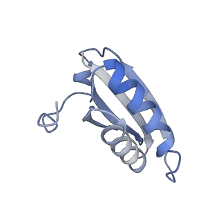 20207_6owg_e_v1-3
Structure of a synthetic beta-carboxysome shell, T=4