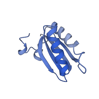 20207_6owg_f_v1-2
Structure of a synthetic beta-carboxysome shell, T=4