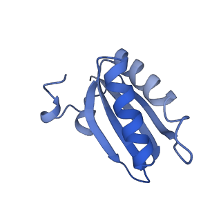 20207_6owg_f_v1-3
Structure of a synthetic beta-carboxysome shell, T=4