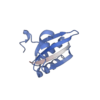 20207_6owg_g_v1-3
Structure of a synthetic beta-carboxysome shell, T=4