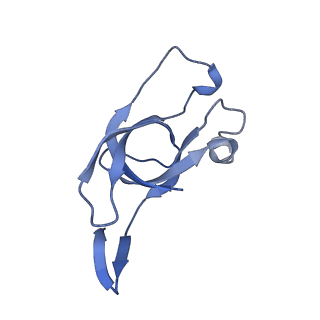 20207_6owg_h_v1-2
Structure of a synthetic beta-carboxysome shell, T=4