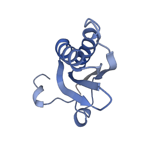 20207_6owg_i_v1-2
Structure of a synthetic beta-carboxysome shell, T=4