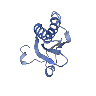 20207_6owg_i_v1-3
Structure of a synthetic beta-carboxysome shell, T=4