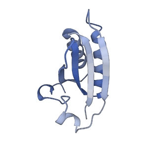 20207_6owg_j_v1-2
Structure of a synthetic beta-carboxysome shell, T=4
