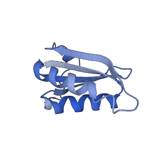 20207_6owg_k_v1-2
Structure of a synthetic beta-carboxysome shell, T=4