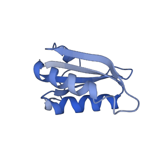 20207_6owg_k_v1-3
Structure of a synthetic beta-carboxysome shell, T=4