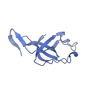20207_6owg_l_v1-2
Structure of a synthetic beta-carboxysome shell, T=4