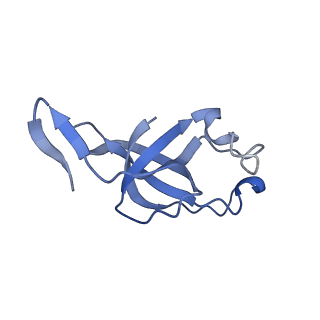 20207_6owg_l_v1-3
Structure of a synthetic beta-carboxysome shell, T=4