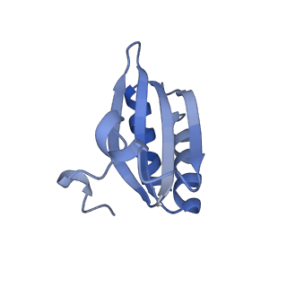 20207_6owg_m_v1-2
Structure of a synthetic beta-carboxysome shell, T=4