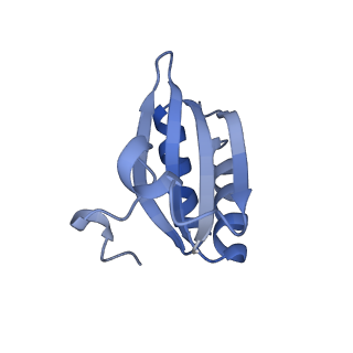 20207_6owg_m_v1-3
Structure of a synthetic beta-carboxysome shell, T=4
