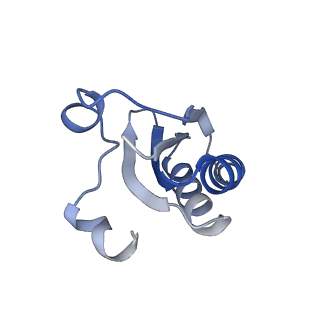 20207_6owg_n_v1-2
Structure of a synthetic beta-carboxysome shell, T=4