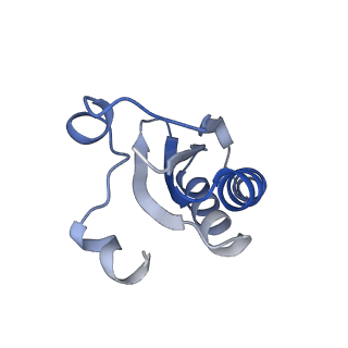 20207_6owg_n_v1-3
Structure of a synthetic beta-carboxysome shell, T=4