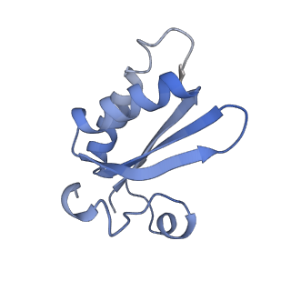 20207_6owg_o_v1-2
Structure of a synthetic beta-carboxysome shell, T=4
