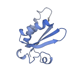 20207_6owg_o_v1-3
Structure of a synthetic beta-carboxysome shell, T=4