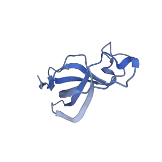20207_6owg_p_v1-2
Structure of a synthetic beta-carboxysome shell, T=4